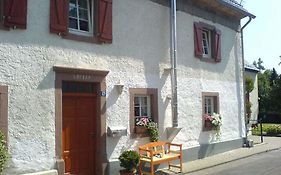 Relaxen am Nationalpark Eifel