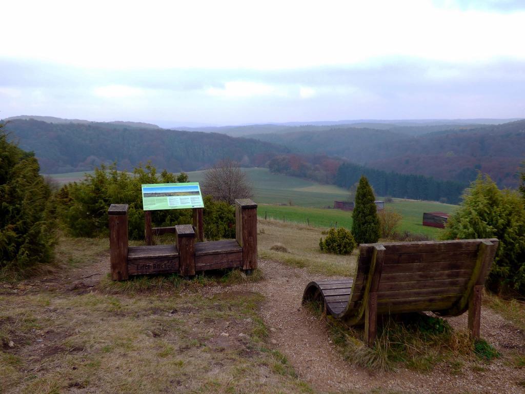 Villa Relaxen am Nationalpark Eifel Ahrhutte Exterior foto